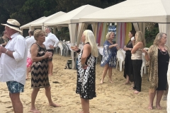 381CFC25-9CCF-41C4-A0AA-50395F3783B3_1_105_c