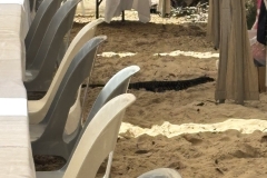 81249B7B-946B-496E-8669-36A8C87FDCDC_1_105_c