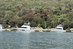 8F55CACD-438C-400E-A6C2-D61549287798_1_105_c